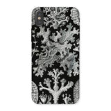 Lichenes Flechten - Ernst Haeckel Phone Case Iphone x / Matte Botanical-patterned Phone Case Haeckel Iphone Case, Ancient Stones, Lichenes