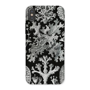 Lichenes Flechten - Ernst Haeckel Phone Case Iphone x / Matte Botanical-patterned Phone Case Haeckel Iphone Case, Ancient Stones, Lichenes