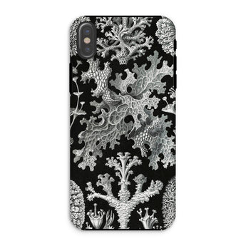 Lichenes Flechten - Ernst Haeckel Phone Case Iphone Xs / Matte Botanical-themed Phone Case Haeckel Iphone Case, Ancient Stones, Lichenes