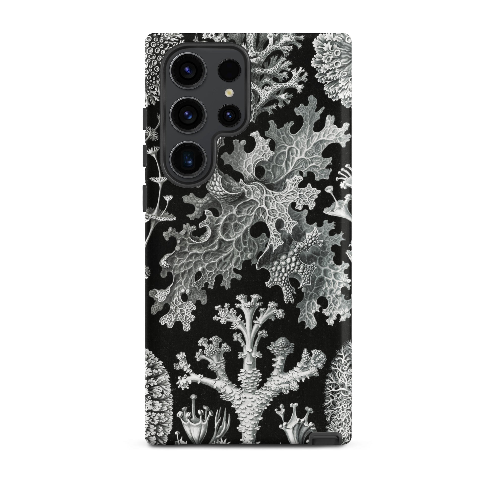 Lichenes Flechten Ernst Haeckel Samsung Case, Galaxy S23 Ultra / Matte, Black Phone Case White Intricate Coral Like Pattern