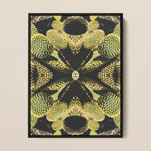 Life on Mars - Succulent Botanical Op Art Framed Canvas, Symmetrical Kaleidoscopic Pattern Yellow-green Spiky Shapes Dark Background