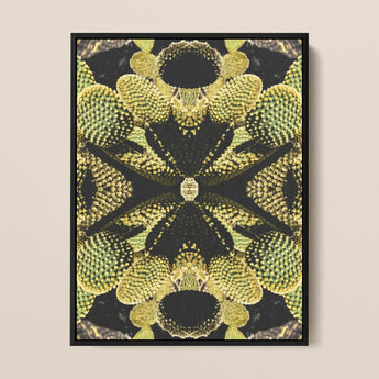 Life on Mars - Tirage d’art op botanique psychédélique / Toile, 12x16’’ / 31x41cm / Cadre noir, Affiches, estampes & art visuel, Toby Leon