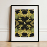 Life on Mars - Trippy Botanical Op Art Print / Canvas, 12x16’’ / 31x41cm / Black Frame / Matboard, Posters Prints & Visual Artwork, Toby