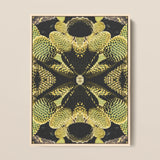 Life on Mars - Trippy Botanical Op Art Print / Canvas, 12x16’’ / 31x41cm / Natural Frame, Posters Prints & Visual Artwork, Toby Leon
