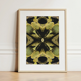 Life on Mars - Trippy Botanical Op Art Print / Canvas, 12x16’’ / 31x41cm / Natural Frame / Matboard, Posters Prints & Visual Artwork, Toby
