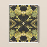 Life on Mars - Trippy Botanical Op Art Print / Canvas, 12x16’’ / 31x41cm / White Frame, Posters Prints & Visual Artwork, Toby Leon
