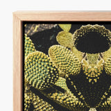 Framed Canvas Print Symmetrical Kaleidoscopic Design Green Yellow Cacti Reign Supreme, Trippy Botanical Succulent, Xeriscape Odyssey