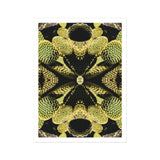 Life on Mars - Trippy Botanical Op Art Print / Canvas, Cacti Reign Supreme, Trippy Botanical Succulent, Xeriscape Odyssey