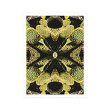 Life on Mars - Trippy Botanical Op Art Print, Kaleidoscopic Pattern Black Yellow Geometric Shapes Arranged Symmetrical