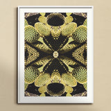 Life on Mars - Trippy Botanical Op Art Print, Symmetrical Kaleidoscopic Pattern Black Metallic Gold Floral Organic