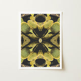 Life on Mars - Trippy Botanical Op Art Print / Canvas Framed Symmetrical Kaleidoscopic Pattern Green Yellow Cacti Reign Supreme, Succulent,