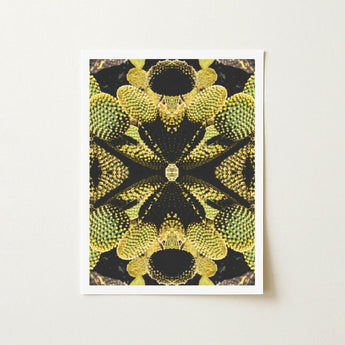 Life on Mars - Trippy Botanical Op Art Print / Canvas Framed Symmetrical Kaleidoscopic Pattern Green Yellow Cacti Reign Supreme, Succulent,