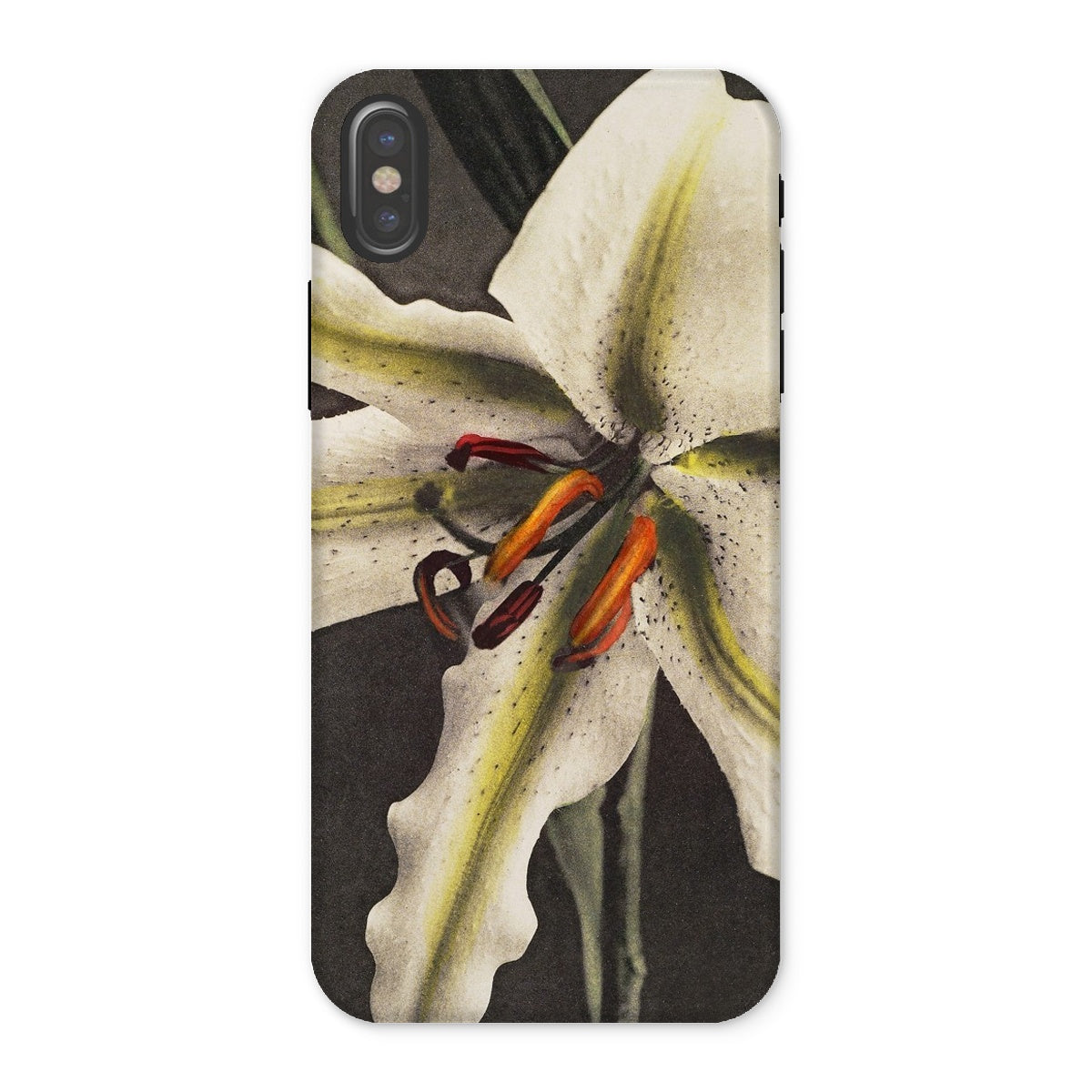 Lily Ogawa Kazumasa Floral Art Iphone Case, x / Matte, Phone Case Close Up Photograph White Lily Flower