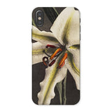 Lily - Ogawa Kazumasa Floral Art Iphone Case, x / Matte, Phone Case Close-up Photograph White Lily Flower