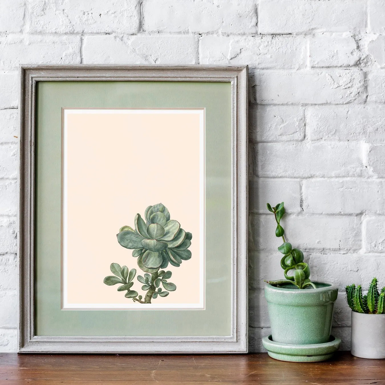 Little Green Man Succulent Art - Modern Botanical Prints - 8×10 - Posters Prints & Visual Artwork - Aesthetic Art