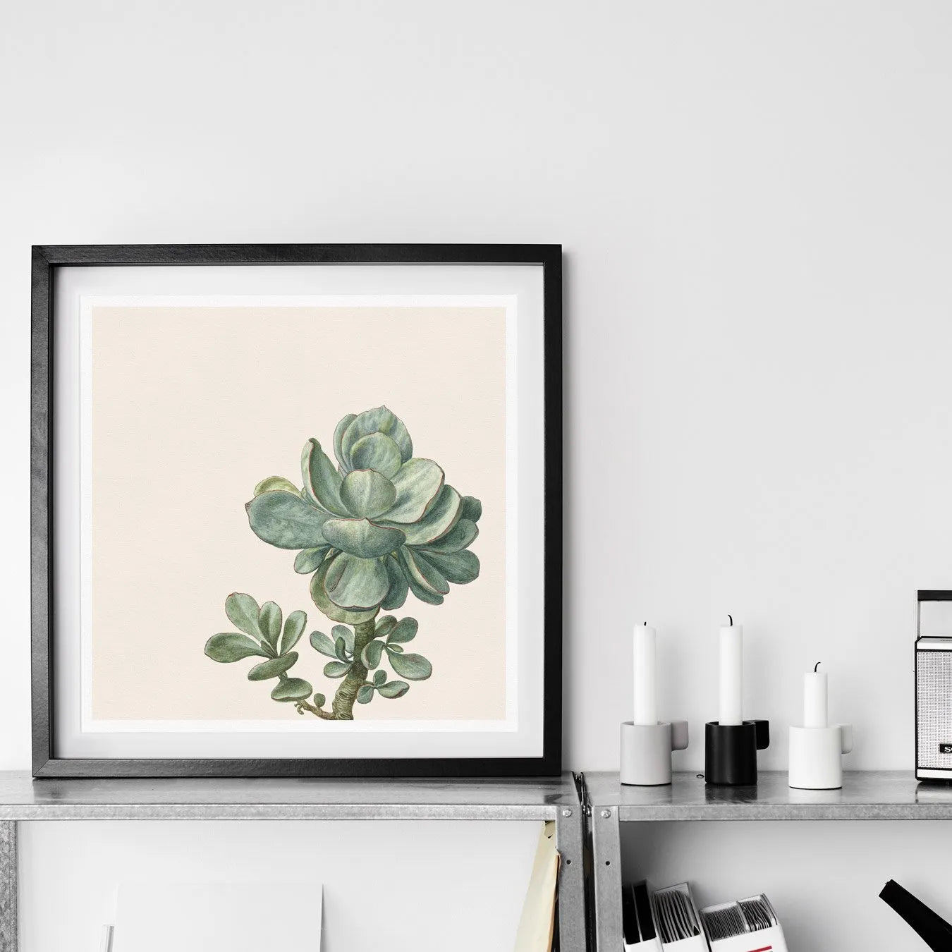 Little Green Man Succulent Art - Modern Botanical Prints - 10×10 - Posters Prints & Visual Artwork - Aesthetic Art
