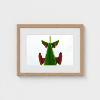 Look Up - Red and Green Fun Fair Airplane Art Print / Canvas Giclée, Living Space, Waking Dream Prints