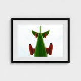 Look Up - Red and Green Fun Fair Airplane Art Print / Canvas Giclée, Living Space, Waking Dream Prints
