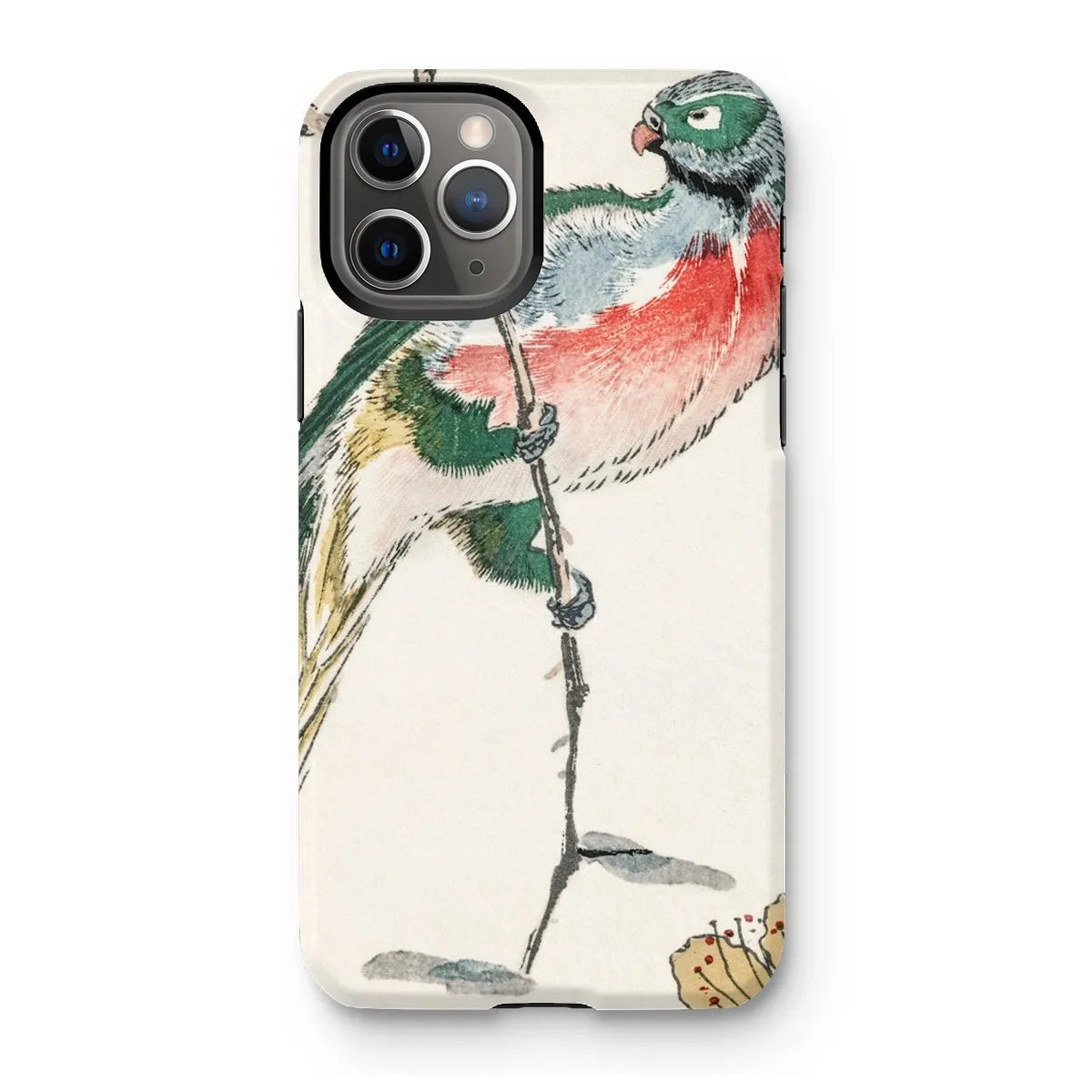 Macaw - Japanese Meiji Bird Art Phone Case - Numata Kashu - Iphone 11 Pro / Matte - Mobile Phone Cases - Aesthetic Art