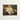 Classical Oil Painting Nude Male Figure Draped Fabric William Etty Fine, Art, Print