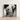 Framed Black White Photograph Classical Marble Statue’s Torso Male Nude, Roman Fragment, Black-and-white Photography Collapses, Hadrianic