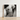 Black-and-white Framed Photograph Classical Marble Sculpture Torso Male Nude, Roman Fragment, Photography Collapses, Hadrianic Sculptor’s