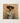 Framed Portrait Man Wide-brimmed Beige Hat Light Blue Cowboy Spirit’s Queer, Transman Tamil, Elegant Outlaw’s