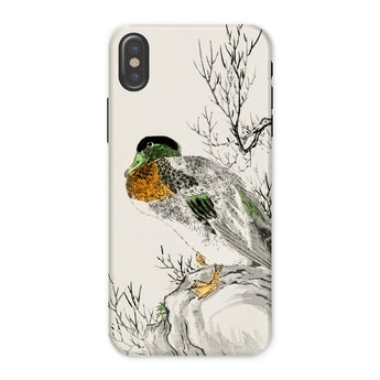 Mallard - Numata Kashu Meiji Duck Art Iphone Case, x / Matte, Phone Case Watercolor-style Illustration Duck Perched Branch
