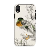 Mallard - Numata Kashu Meiji Duck Art Iphone Case, Xr / Matte, Phone Case Artistic Illustration Duck Waterfowl Traditional Asian