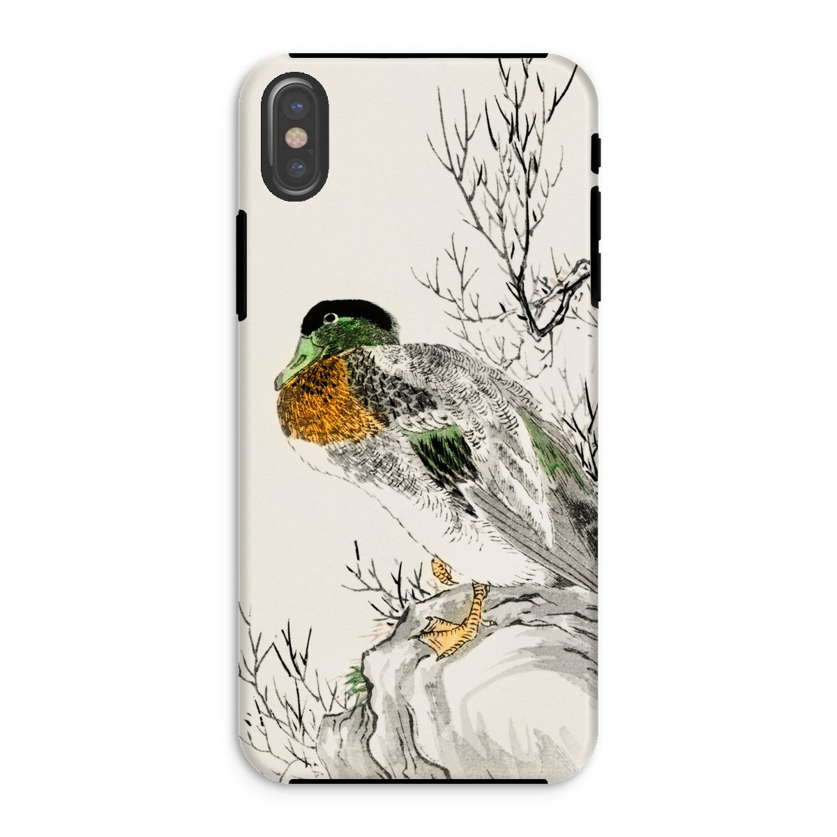 Mallard Numata Kashu Meiji Duck Art Iphone Case, Xs / Matte, Phone Case Detailed Illustration Duck Perched Branch