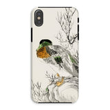 Mallard - Numata Kashu Meiji Duck Art Iphone Case, Xs / Matte, Phone Case Detailed Illustration Duck Perched Branch