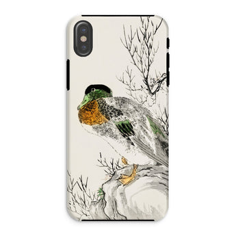 Mallard - Numata Kashu Meiji Duck Art Iphone Case, Xs / Matte, Phone Case Detailed Illustration Duck Perched Branch