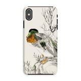 Mallard - Numata Kashu Meiji Duck Art Phone Case Iphone Xs Max / Matte Phone Case Traditional Asian-style Painting Duck Perched Branch