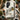 Mallard - Numata Kashu Meiji Duck Art Phone Case, Digital Heartbeat Capturing, Kashu’s Meiji-era Mastery