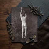 Man Posing Naked Holding Branch of a Tree - Edwin Nichol Fallaize Art Print / Canvas Black-and-white Photographic Nude Male Figure Arms