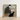 Framed Illustration Man Dark Suit Black White Cat Reading, Amber-orange Chair, Edward Penfield’s, Olive-brown Sack, Bent, Forward, Tuxedo