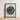 Black-framed Artwork Detailed Grayscale Illustration Succulent Plant Karl Blossfeldt, Saxifraga Aizoon, Blossfeldt’s Margined Pyramidal