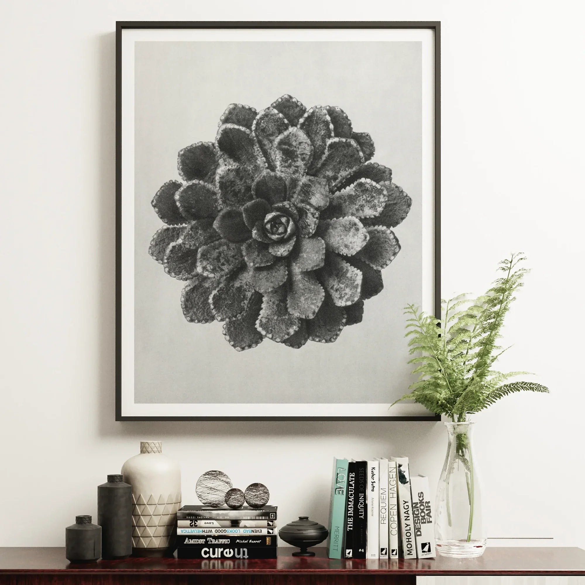 Margined Pyramidal Saxifrage (saxifraga Aizoon) - Karl Blossfeldt Art Print Posters Prints & Visual Artwork