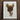 Detailed Illustration Vintage Leather Saddle Brass Hardware Framed Walter Praefke, Mclellan, 1930s Equestrian Art