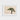 Framed Photograph Uniquely Shaped Tree Lush Green Foliage Bonsai Art Photography, Horticultural Haiku, Photographic Ode
