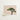 Framed Photograph Solitary Tree Lush Green Foliage Textured Bonsai Art Photography, Horticultural Haiku, Photographic Ode