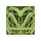 Spiked - Trippy Aloe Vera Botanical Art Print Posters Prints & Visual Artwork