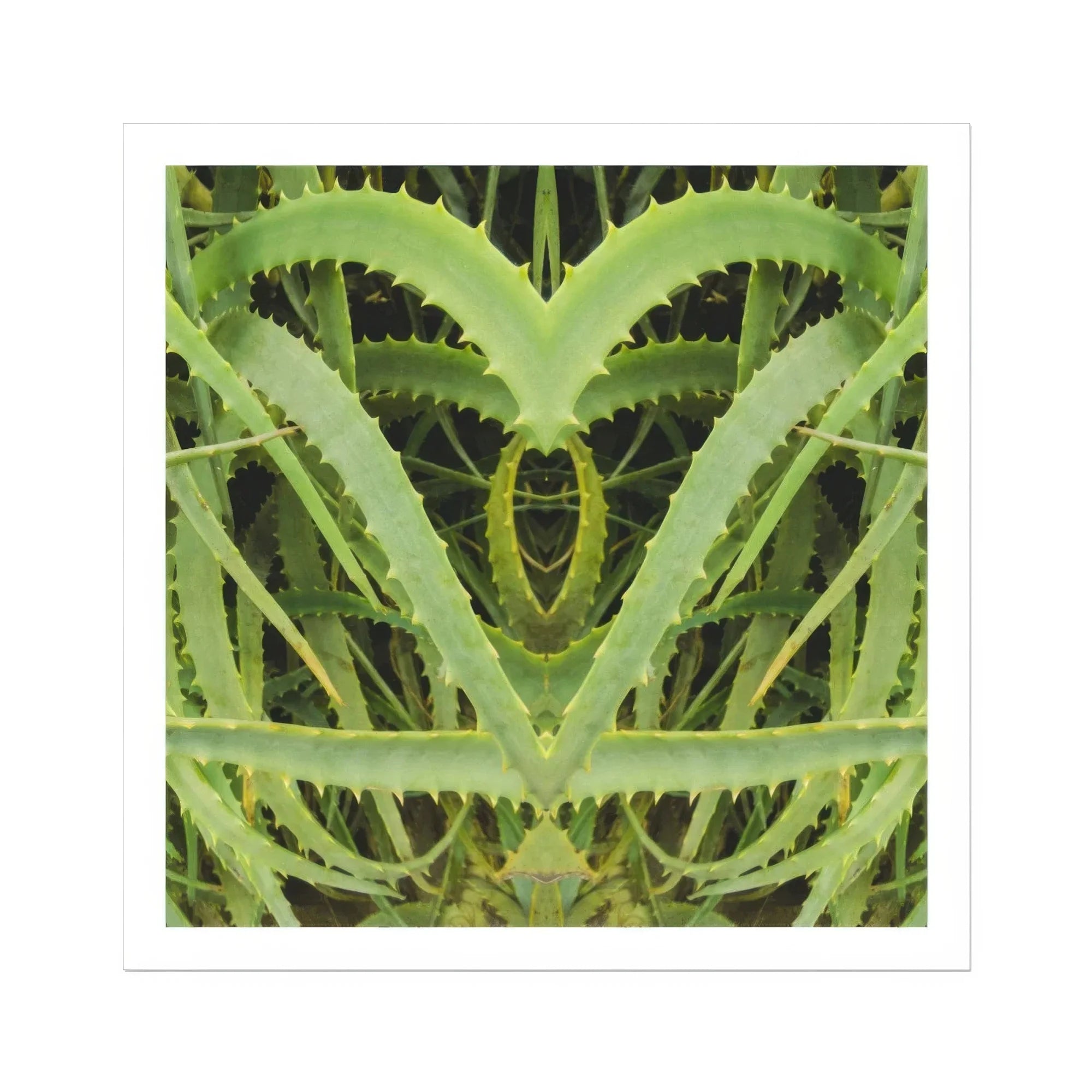 Spiked - Trippy Aloe Vera Botanical Art Print Posters Prints & Visual Artwork