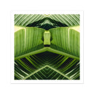 Semaphore - Palm Frond Botanical Op Art Print Posters Prints & Visual Artwork