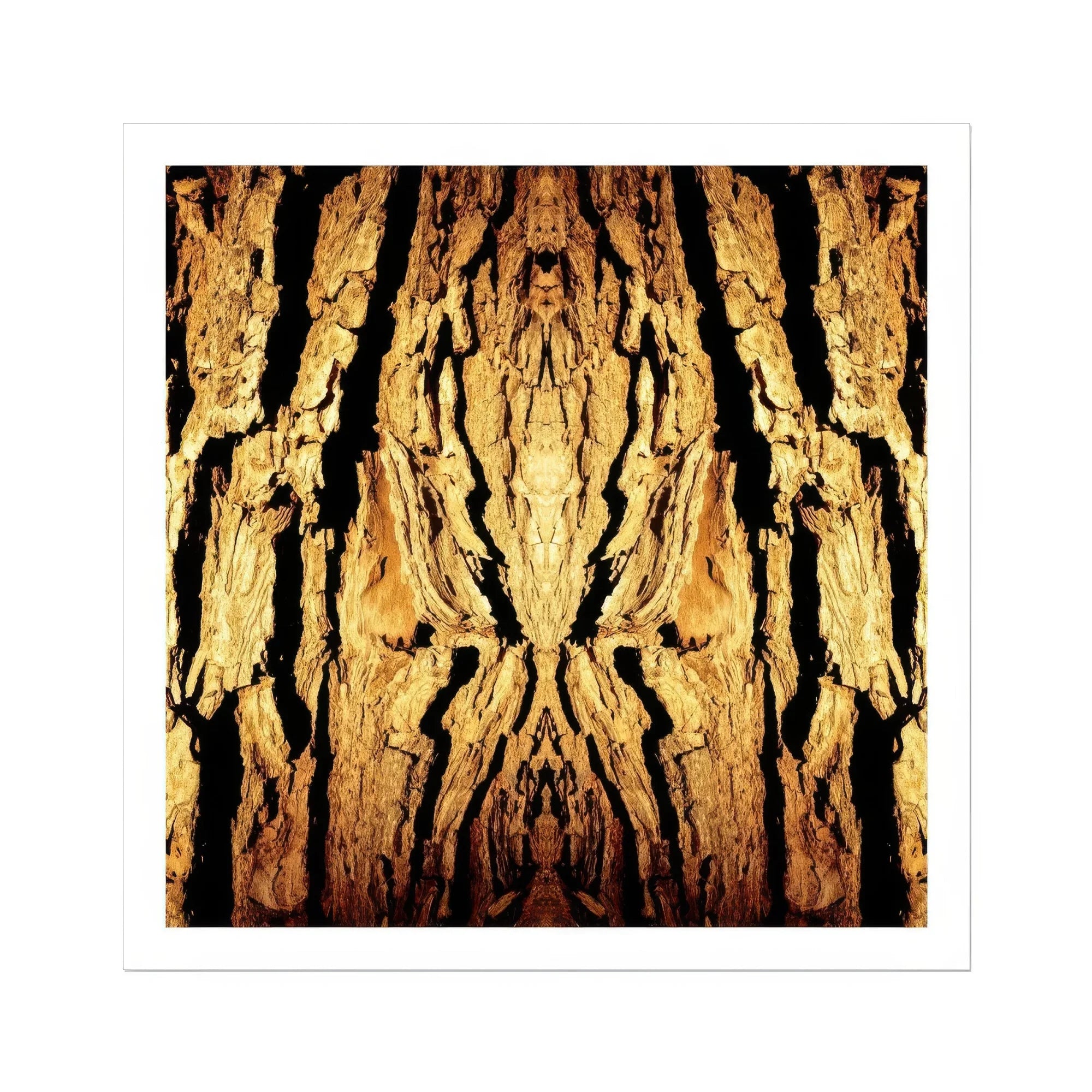 Barking Mad - Trippy Tree Trunk Art Print Posters Prints & Visual Artwork