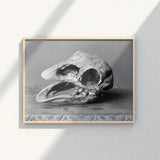 Framed Black White Photograph Textured Fossilized Bird Skull Moa, Burton Brothers Art Print, Cavernous Sockets Hollowed