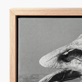 Minimalist Black-and-white Canvas Print Weathered Driftwood Framed Light Fossilized Moa Skull, Burton Brothers Art, Cavernous Sockets