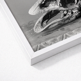 White Framed Black Photograph Textured Weathered Seashell Sandy Fossilized Moa Skull, Burton Brothers Art Print, Cavernous Sockets Hollowed