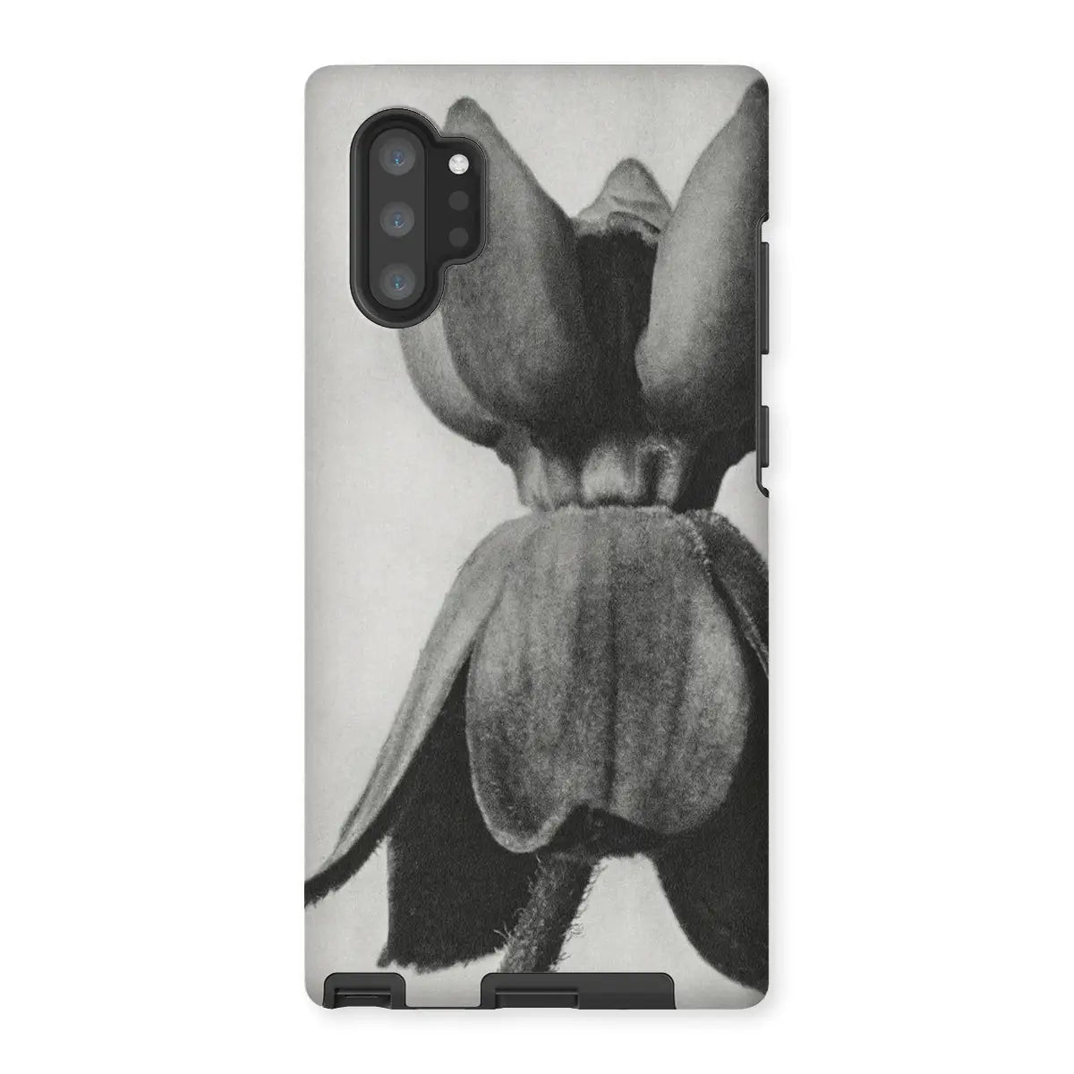 Asclepias Syriaca (common Milkweed) - Karl Blossfeldt Iphone Case Mobile Phone Cases