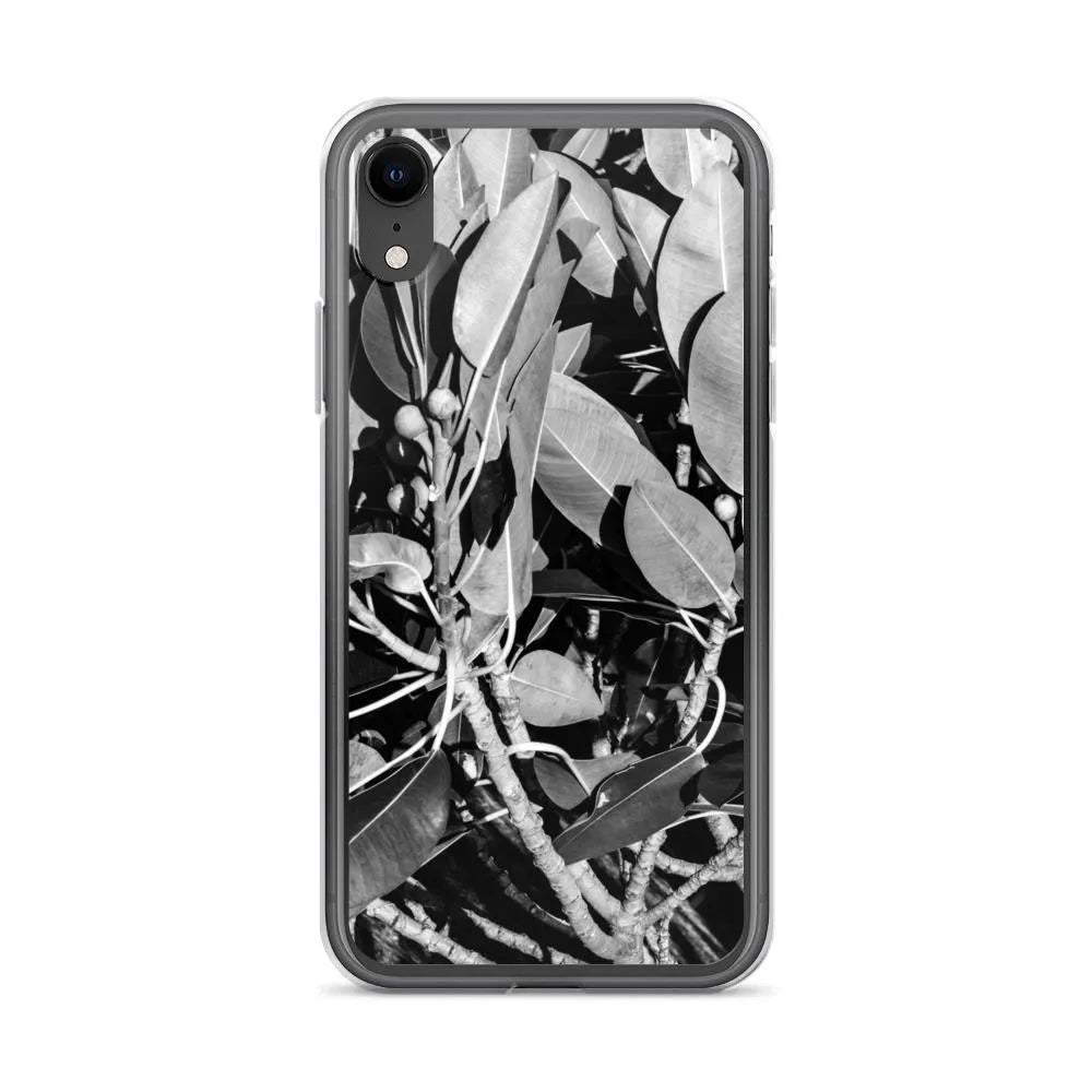 Moreton Bay Fig Botanical Art Iphone Case - Black And White - Iphone Xr - Mobile Phone Cases - Aesthetic Art